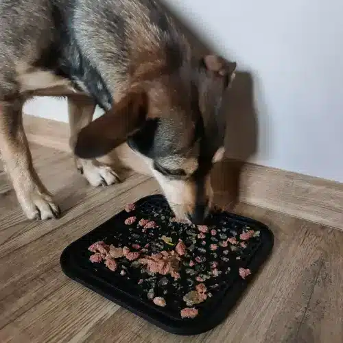 Antistresová lízacia podložka pre domáce zvieratá – s drsným povrchom a špachtľou (WNDR19378) - Image 6