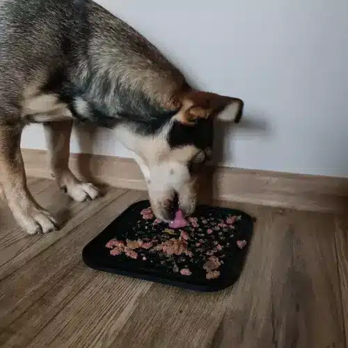 Antistresová lízacia podložka pre domáce zvieratá – s drsným povrchom a špachtľou (WNDR19378) - Image 7