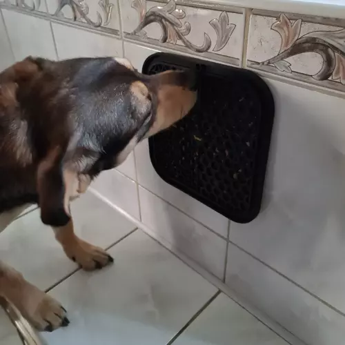 Antistresová lízacia podložka pre domáce zvieratá – s drsným povrchom a špachtľou (WNDR19378) - Image 8