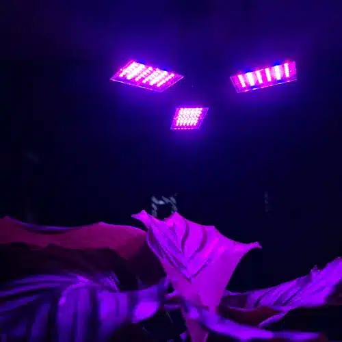 LED pestovateľská lampa Gardlov s 108 diódami – pre zdravý rast rastlín (WNDR20440) - Image 8