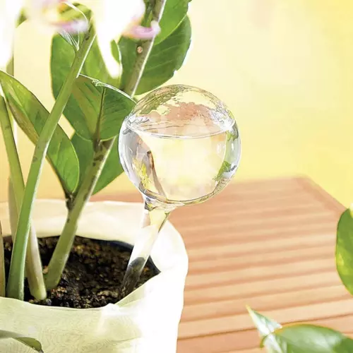 Zavlažovacie gule pre rastliny – 8 kusov (WNDR21043) - Image 7