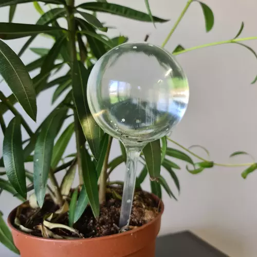 Zavlažovacie gule pre rastliny – 8 kusov (WNDR21043) - Image 8