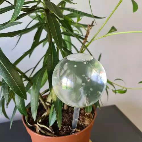 Zavlažovacie gule pre rastliny – 8 kusov (WNDR21043) - Image 9