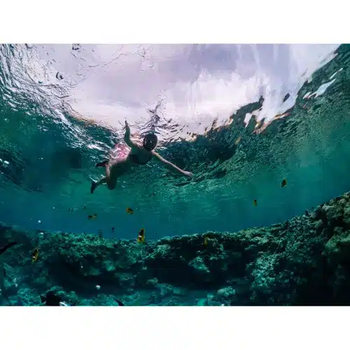 Potápačská maska L/XL – veľká veľkosť pre maximálne pohodlie a bezpečnosť pod vodou (WNDR23462) - Image 9