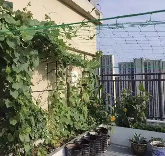 Sieť na popínavé rastliny – 2 × 20 m – Ideálna podpora pre vašu úrodu (WNDR23980) - Image 5