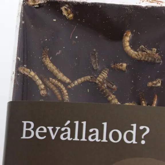 Sens Horká Čokoláda s Moučnym Červom – Odvážny a Udržateľný Výber, 90g - Image 2